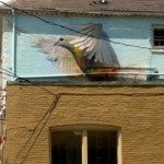 IMG 0074