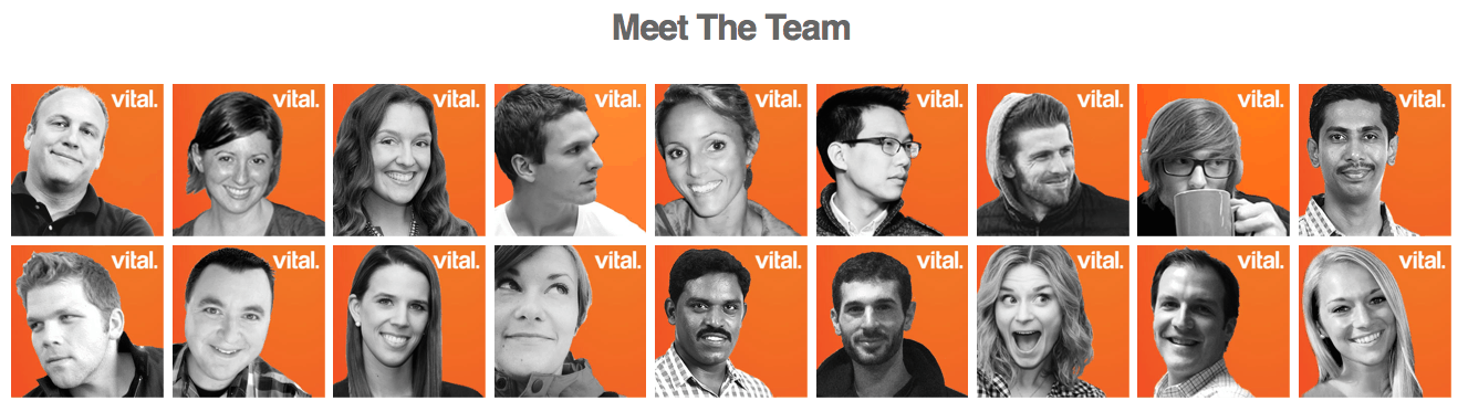 Vital Website Development, SEO, Inbound Marketing, and Graphic Design Team