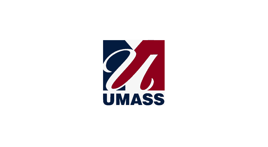 Digital Marketing Agency - Boston, MA 6 UMass-Pay-Per-Click-Boston-MA-Vital-Client
