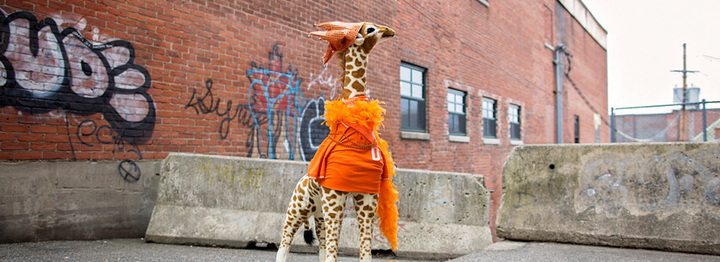 vital_giraffe_welcome